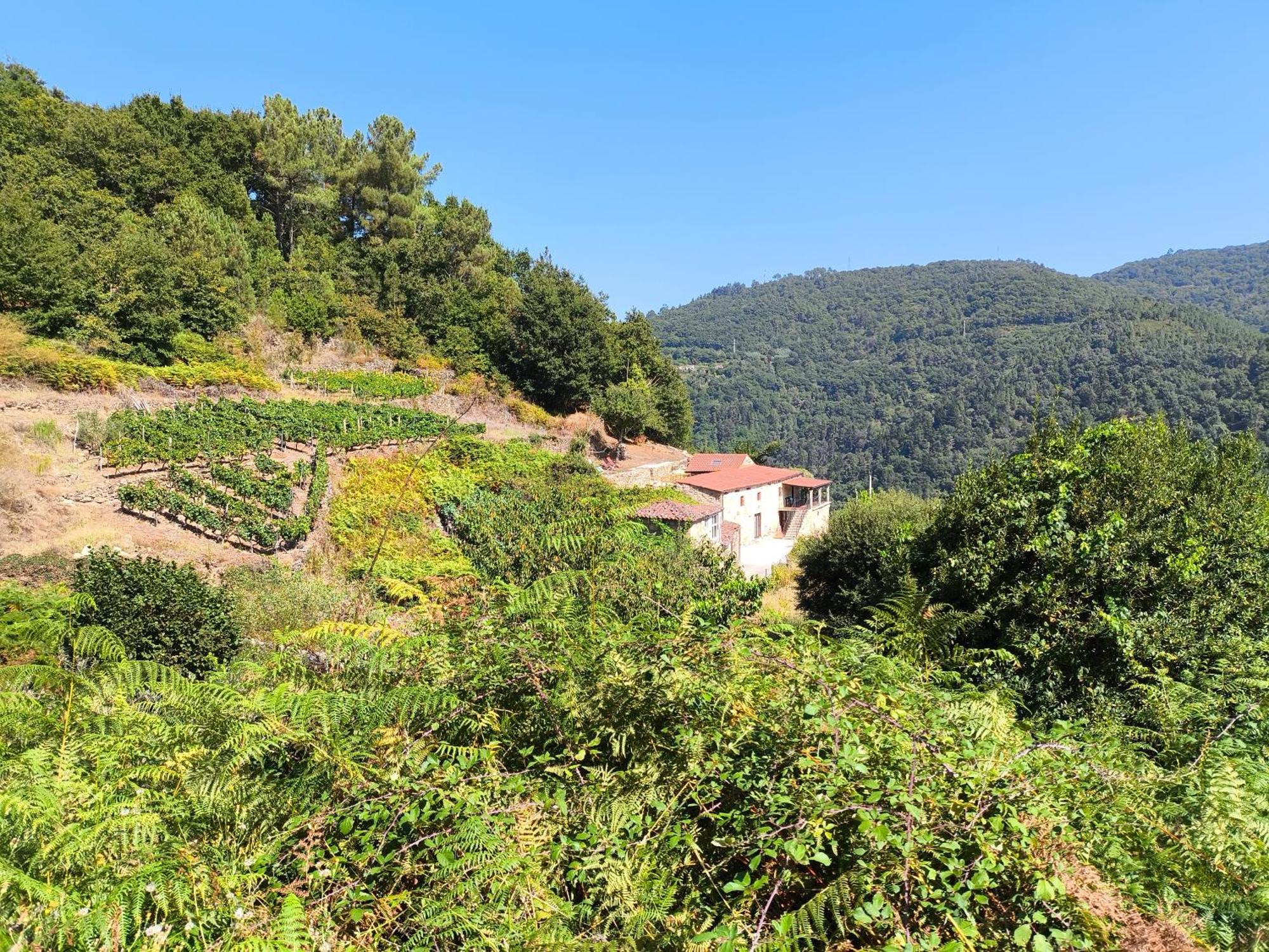 Villa Xiravai-Ribeira Sacra Peares Esterno foto
